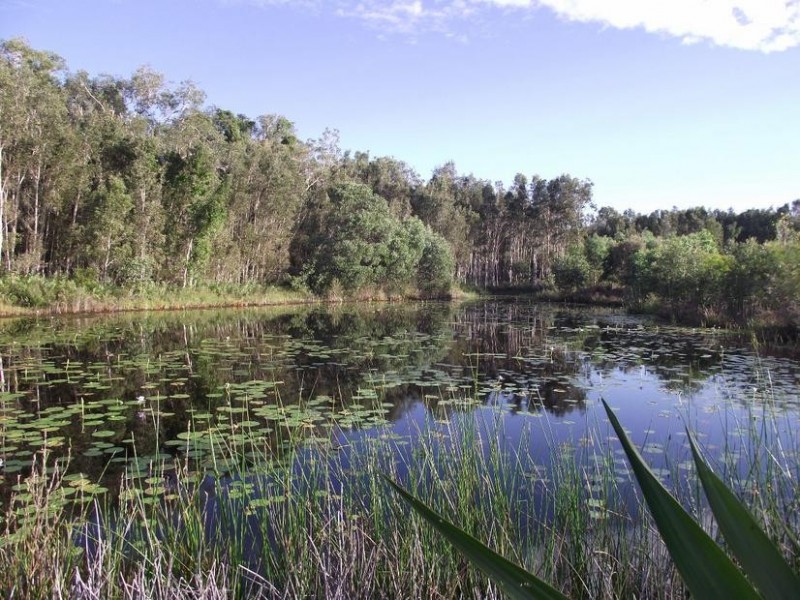Ningi QLD 4511