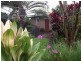 Bongaree QLD 4507