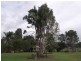 23 Pharlap Court, Ningi QLD 4511