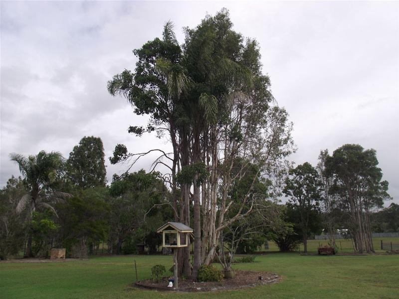 23 Pharlap Court, Ningi QLD 4511