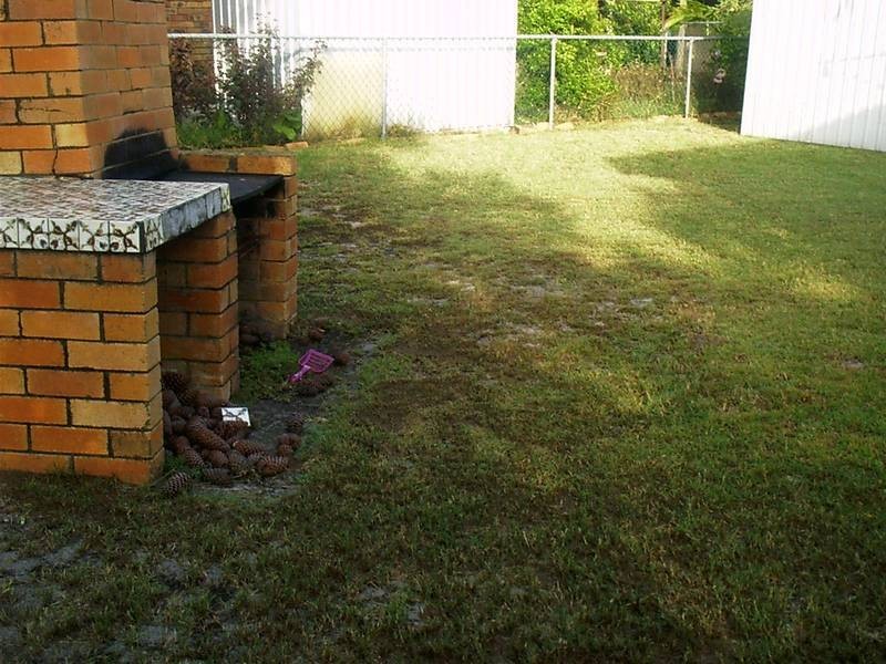 36 Clayton Street, Bribie Island QLD 4507
