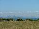 Bribie Island QLD 4507