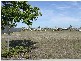 Bribie Island QLD 4507