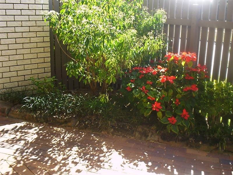 3/2 Ottiwell St, Woorim QLD 4507