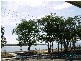 109 Welsby
Parade, Bribie Island QLD 4507