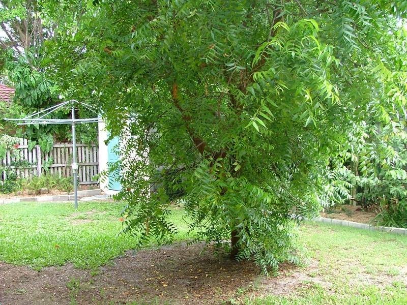 14 Mirimar St, Bribie Island QLD 4507