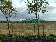 Bribie Island QLD 4507