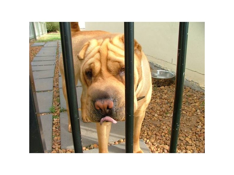 Sandstone Point QLD 4511