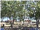 Bribie Island QLD 4507