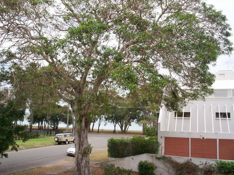 3/5 Wattle Ave, Bribie Island QLD 4507