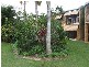 Bongaree QLD 4507