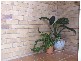 Bongaree QLD 4507