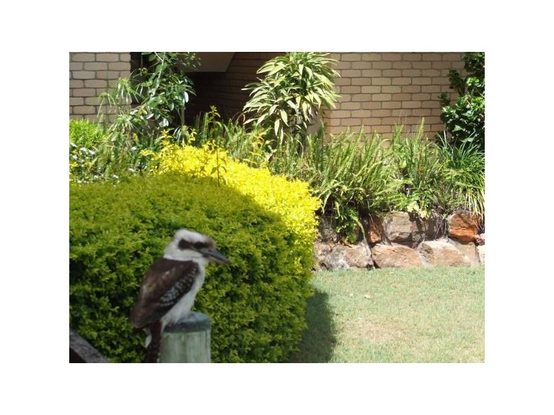 Bellara QLD 4507