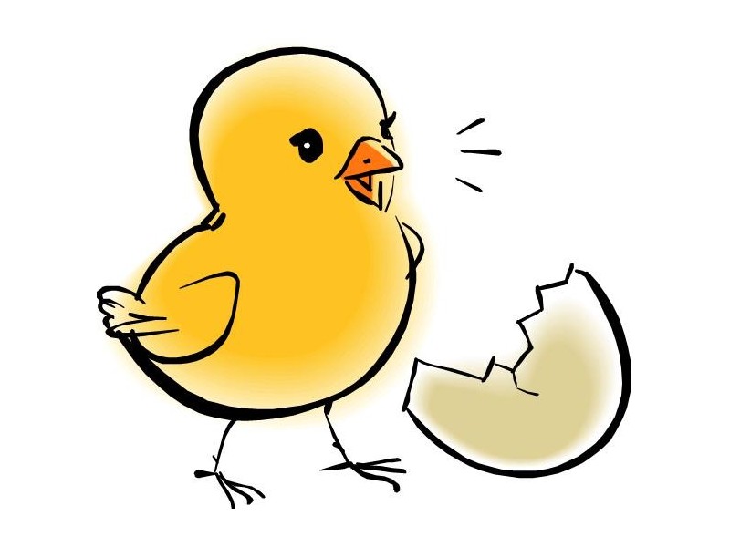 3/60 Jabiru Street, Bellara QLD 4507