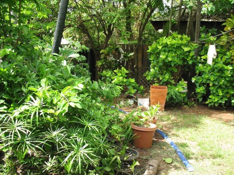 14 Winckel Court, Broome WA 6725