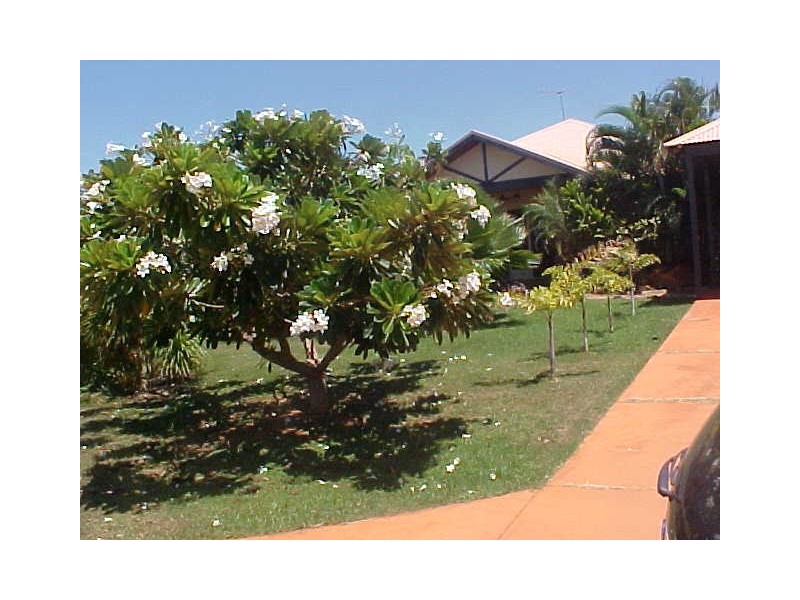 9 Whimbrel Cresent, Broome WA 6725