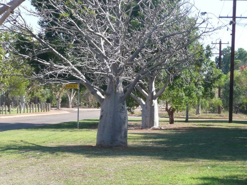 Lot 203, 60 Herbert Street, Broome WA 6725