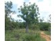 Lot 120,  Yamashita Street, Broome WA 6725