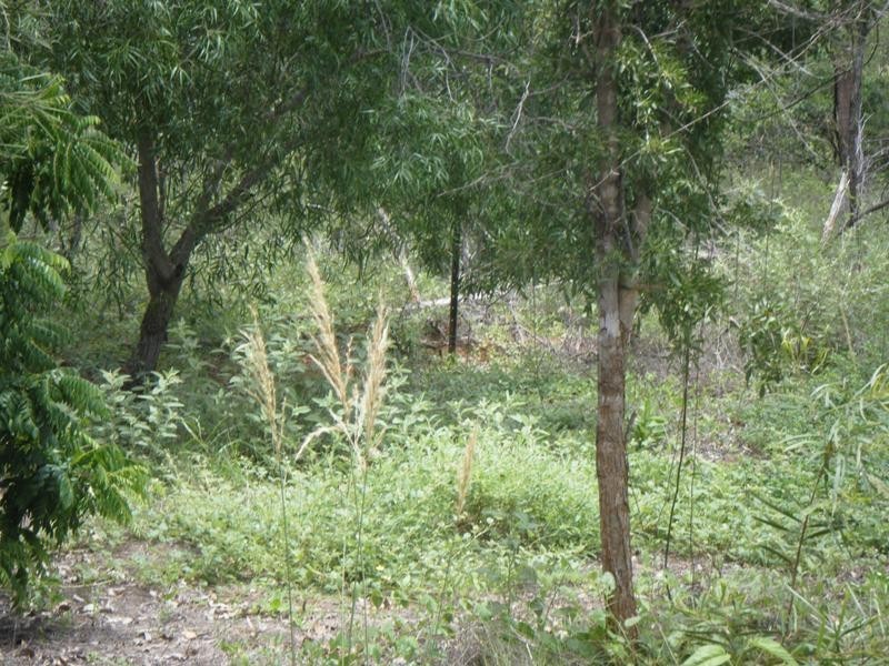 Lot 120,  Yamashita Street, Broome WA 6725