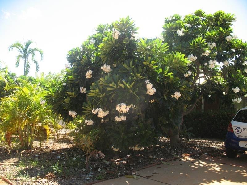 34 Howe Drive, Broome WA 6725