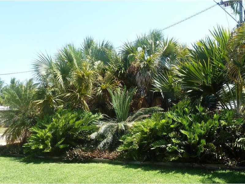 6/7 Bagot Street, Djugun WA 6725