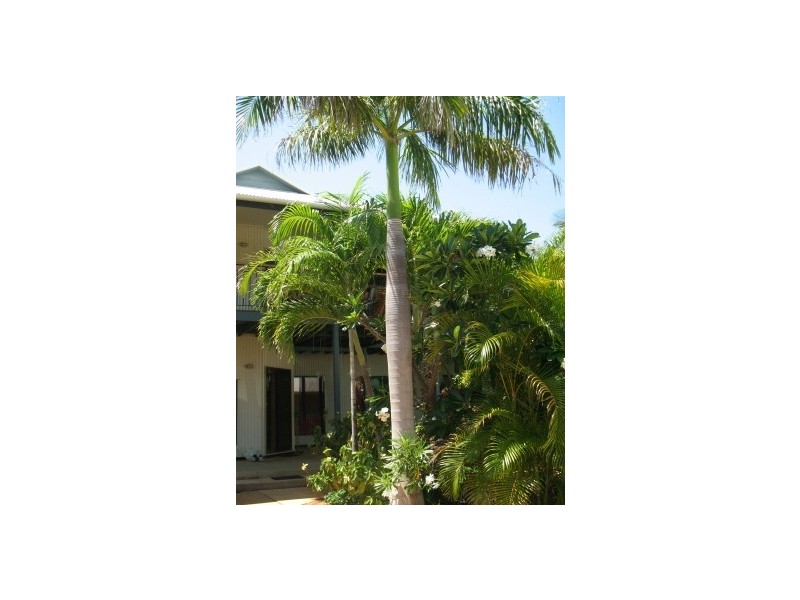 7 Demco Drive, Broome WA 6725