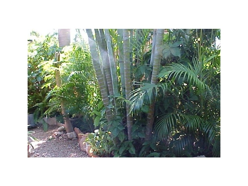 8/1 Charles Road, Cable Beach WA 6726