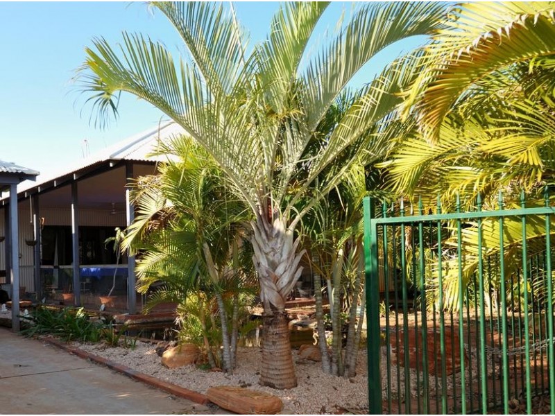 20 Bowerbird Loop, Djugun WA 6725