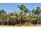 8 Planigale Loop, Djugun WA 6725