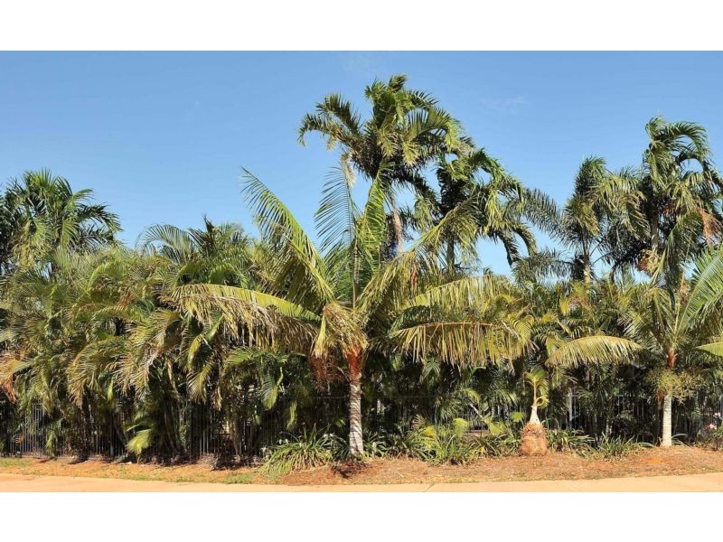 8 Planigale Loop, Djugun WA 6725