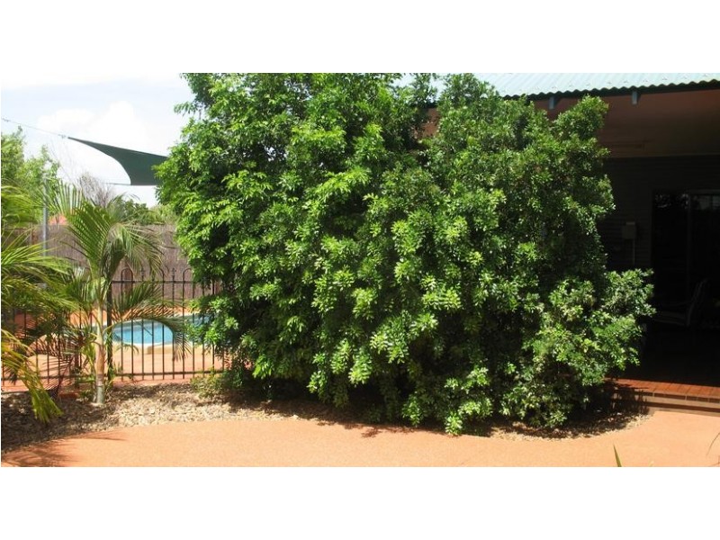 21 Bronzewing Crescent, Djugun WA 6725