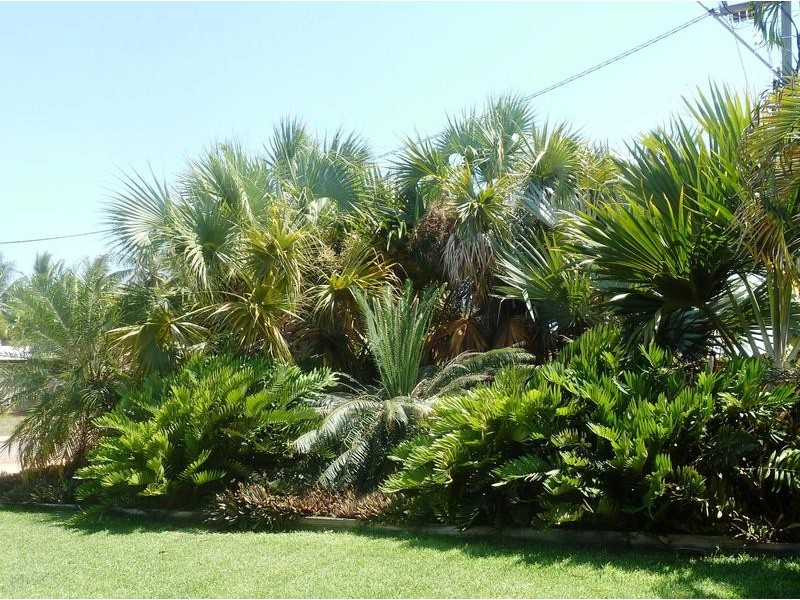 6/7 Bagot Street, Djugun WA 6725