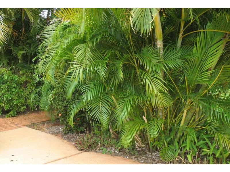 11 De Pledge Way, Cable Beach WA 6726