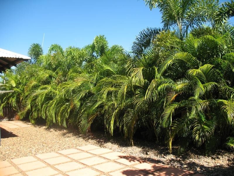 13 Sugarglider Avenue, Djugun WA 6725