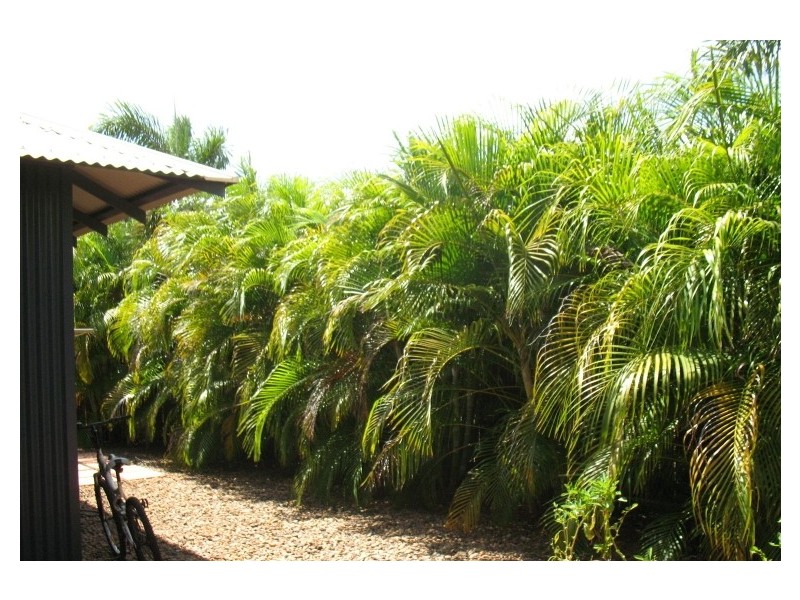 13 Sugarglider Avenue, Djugun WA 6725