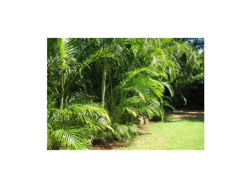 6 Mostyn Place, Broome WA 6725