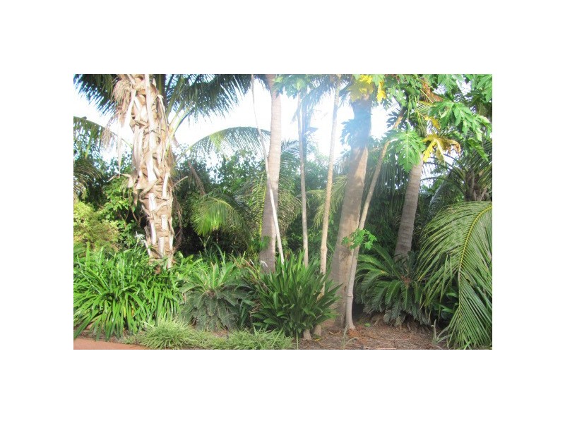 51 Lullfitz Drive, Cable Beach WA 6726