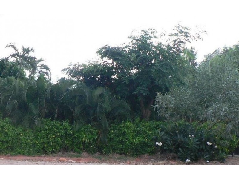 68 Walcott Street, Broome WA 6725