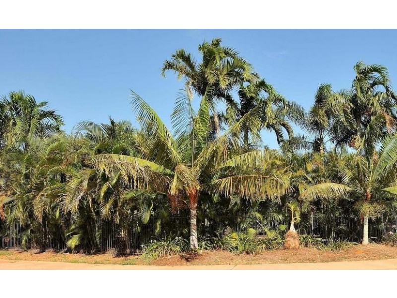 8 Planigale Loop, Djugun WA 6725