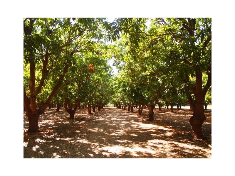 Lot 21, 59 Williams Road, Broome WA 6725