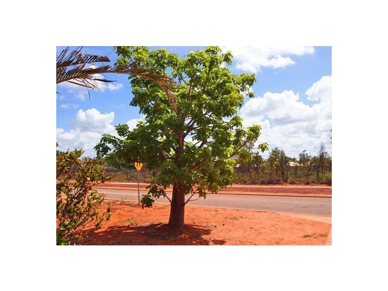 120 Reid Road, Cable Beach WA 6726