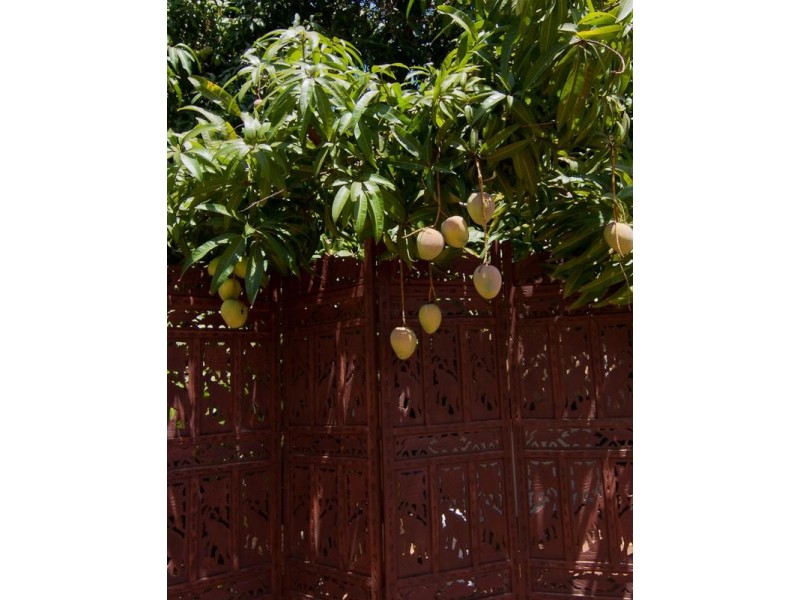 20 Herbert Street, Broome WA 6725