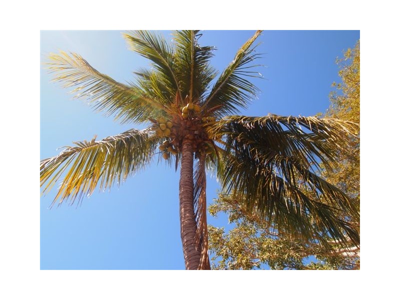 2/76 Robinson Street, Broome WA 6725