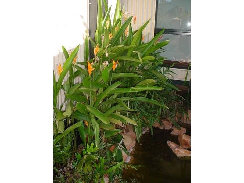 25 Shearwater Crescent, Broome WA 6725