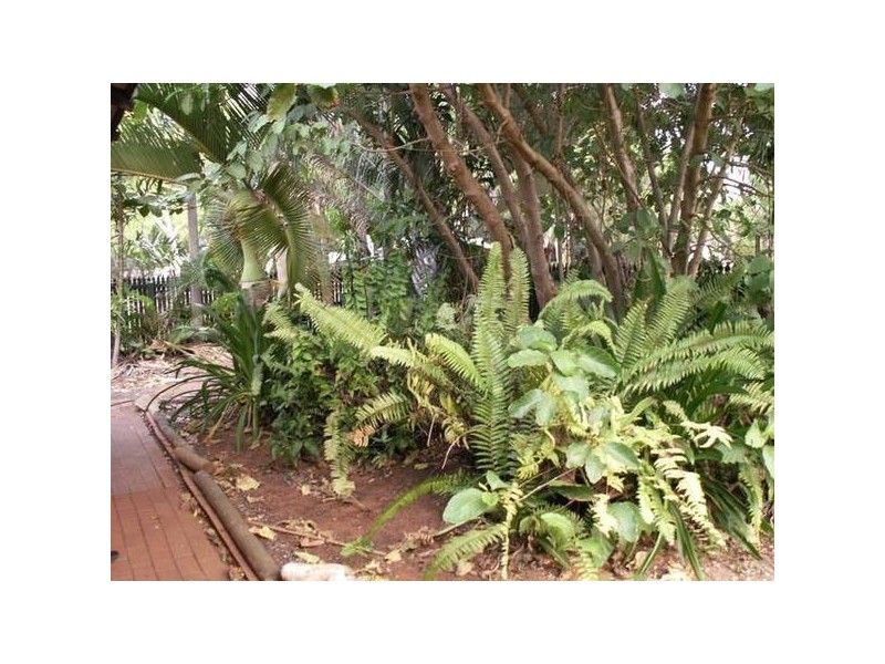 1/2 Robert Street, Broome WA 6725