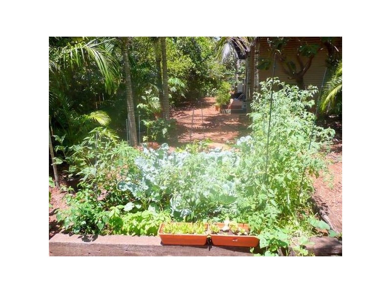 7 Owens Street, Broome WA 6725