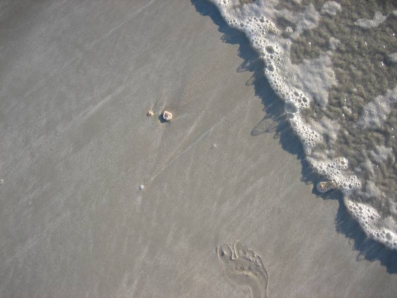 7 Livingstone Street, Broome WA 6725