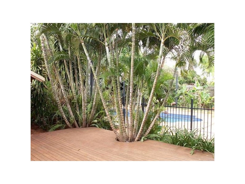 32 Howe Drive, Broome WA 6725