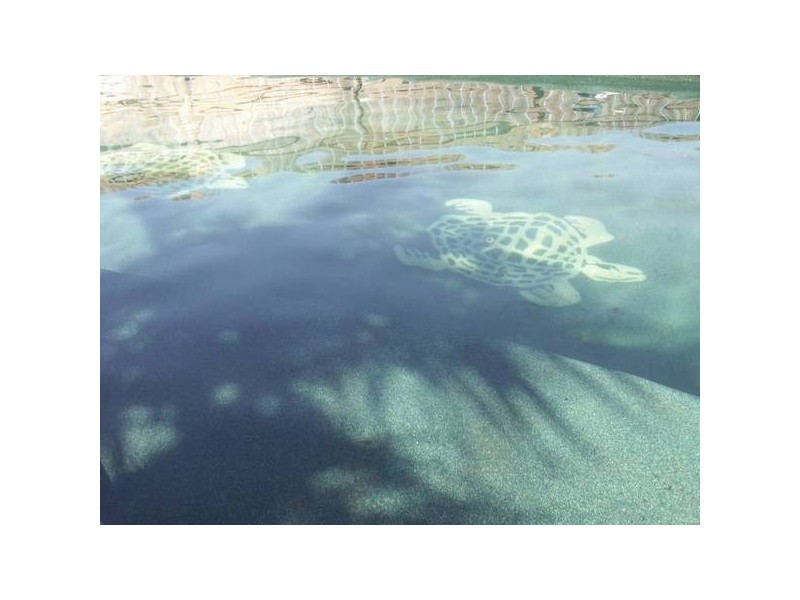 11 Whimbrel Street, Broome WA 6725