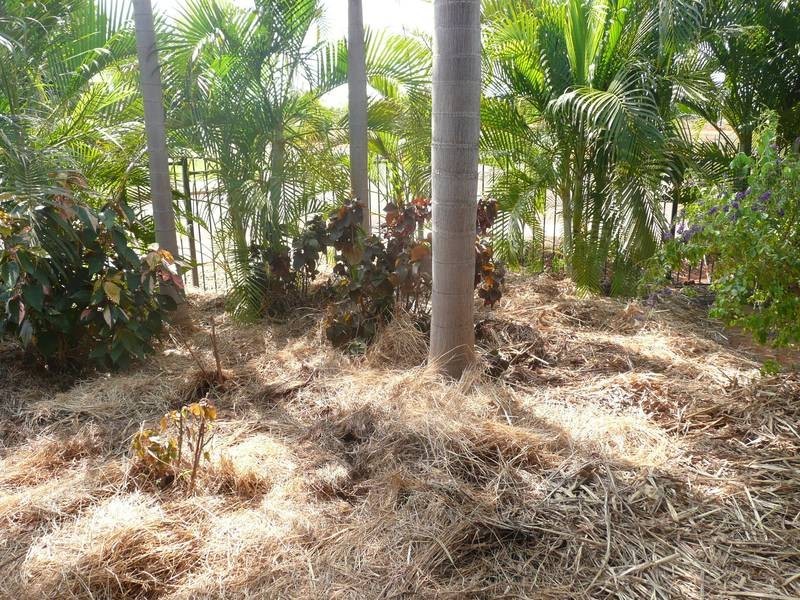 8 Planigale Loop, Broome WA 6725